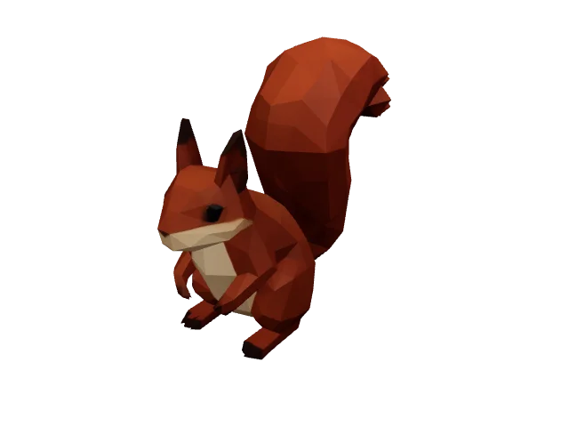 Brown Squirrel