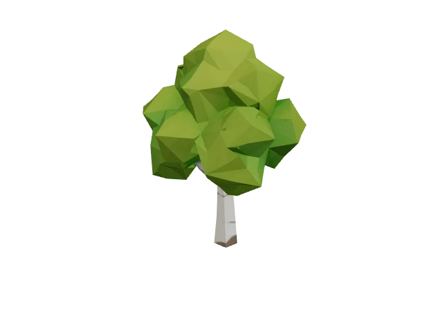 Green Birch Tree