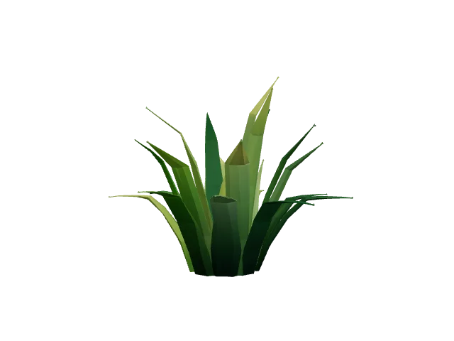 Green Grass Bush