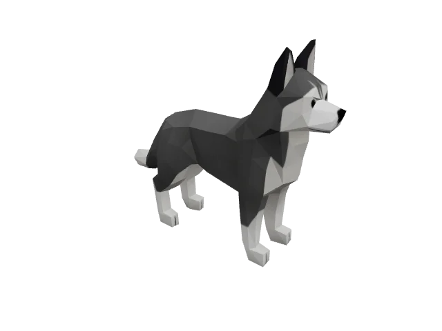 Grey Husky Dog