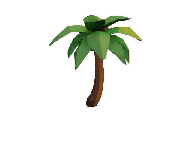 Palm Tree