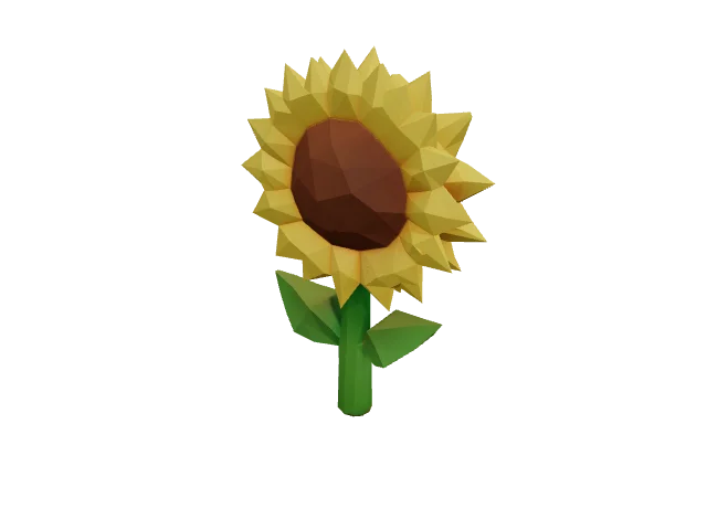 Sunflower Plant — Plants
