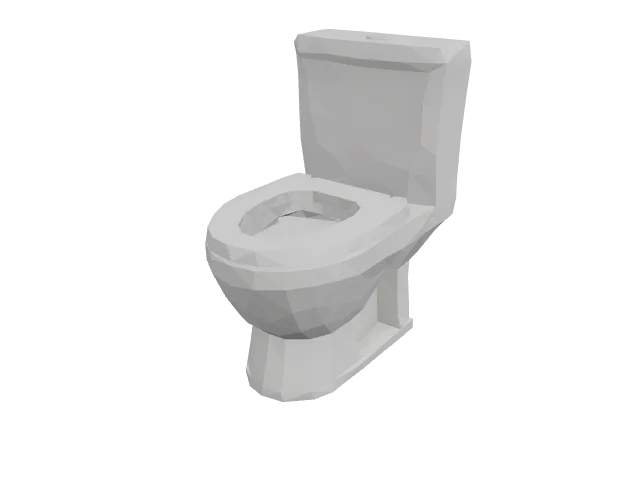 White Toilet